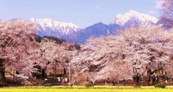 1568686606826378.jpg timg (8).jpg